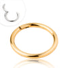 Gold Segment Ring